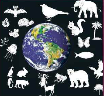 The Living World Illustration